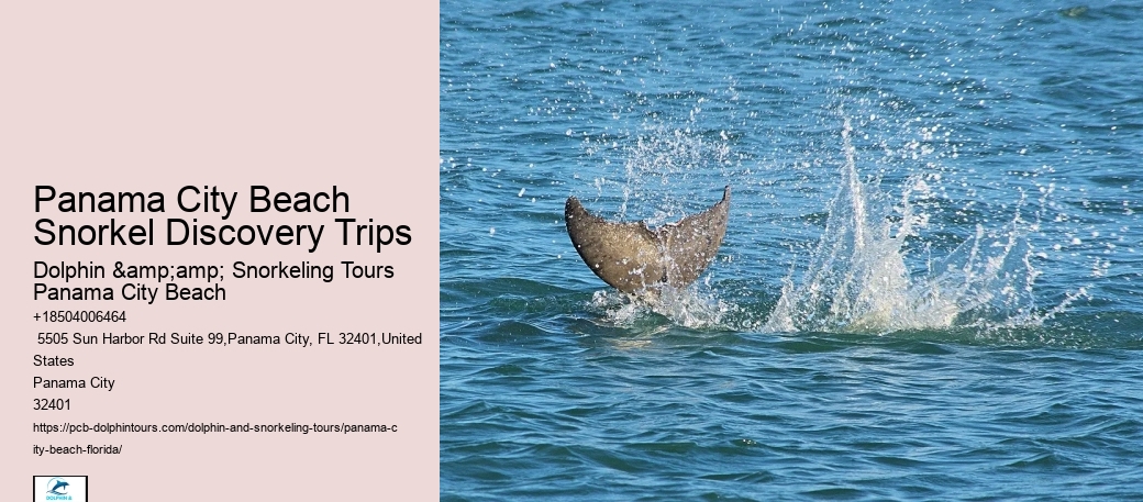 Snorkeling Tours In Panama City Beach