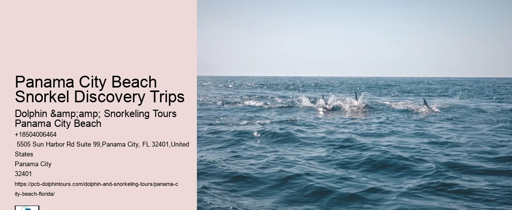Do The Snorkeling Tours Include Instruction For Beginners