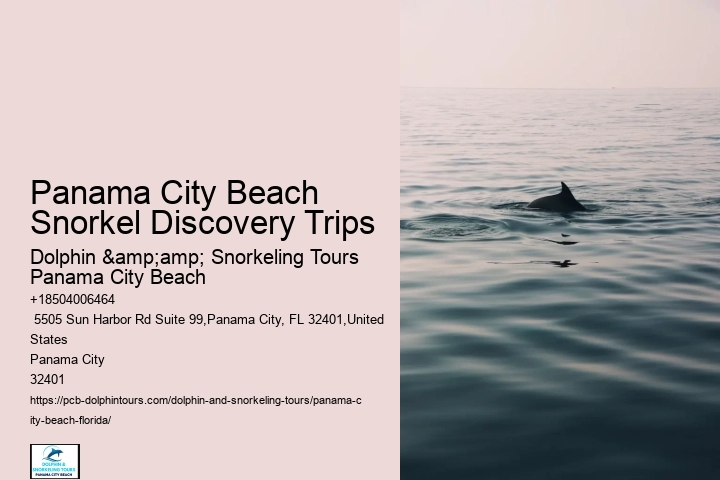 Snorkeling Adventures Departing From Panama City Beach