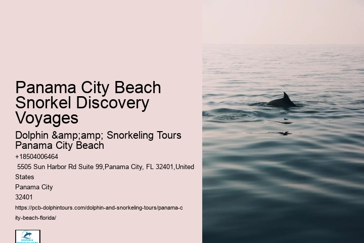 Panama City Beach Snorkel Trips