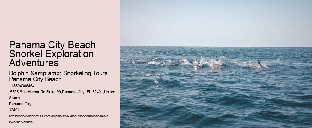 Panama City Beach Snorkeling Tours Lanai