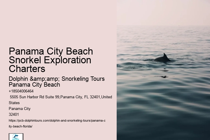 Panama City Beach Snorkeling Tours Prices