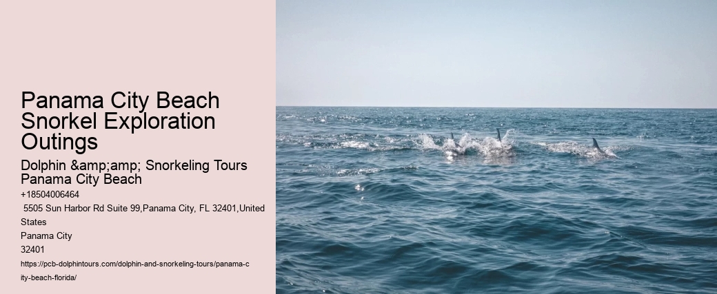 Panama City Beach Snorkeling Tours Jungle