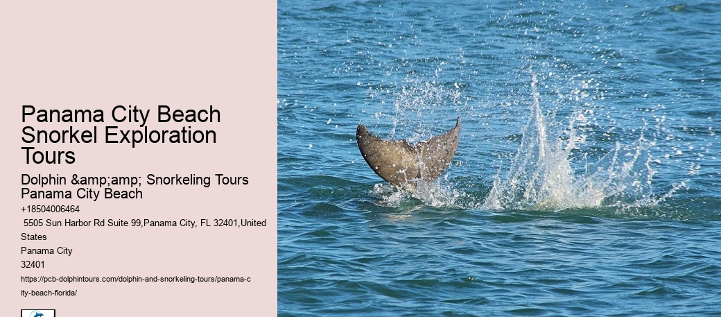 Panama City Beach Snorkeling Tours Kohler