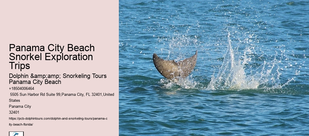 Best Snorkeling Tours In Destin