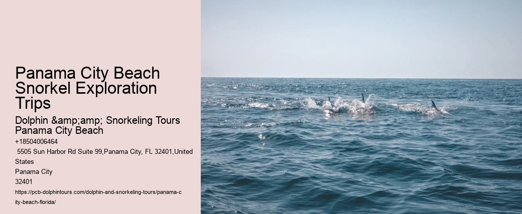 Panama City Beach Snorkel Sightseeing Tours