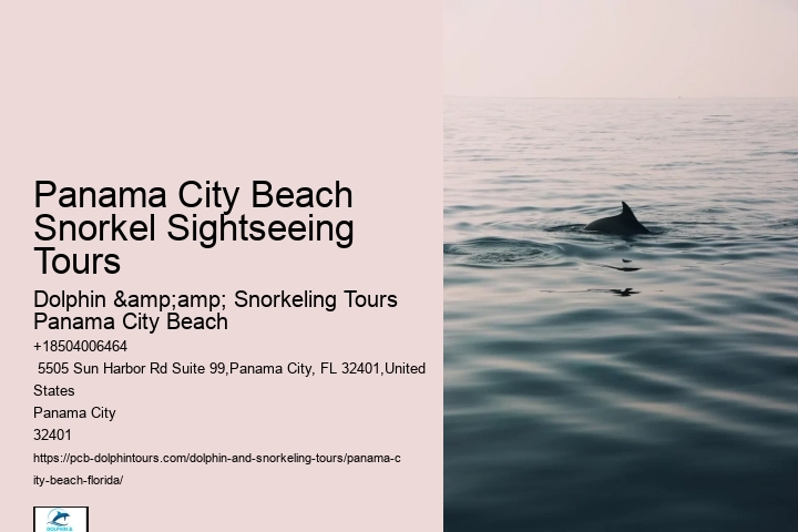 Snorkel Adventure Excursions In Pcb