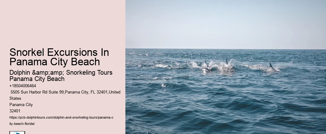 Panama City Beach Snorkeling Tours Ambergris Caye