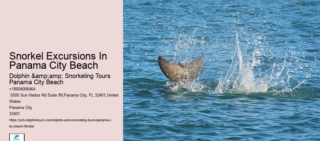 Panama City Beach Snorkeling Tours Highlands