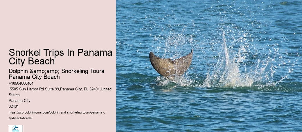 Best Snorkeling Panama City Beach