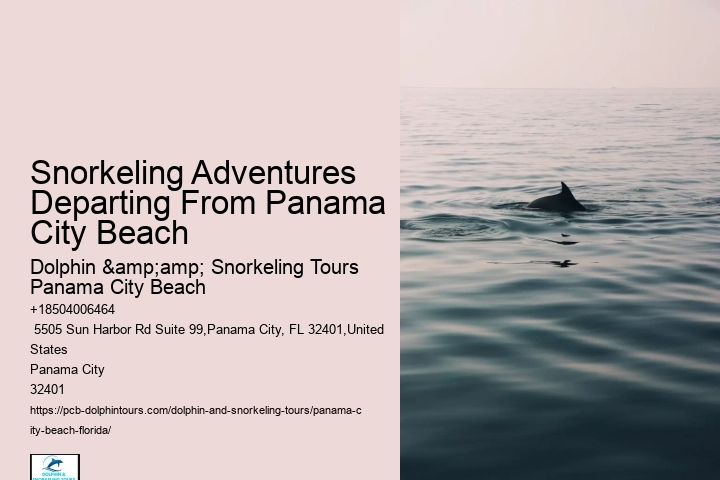 Snorkeling Boat Tours In Panama City Beach