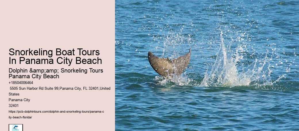 Top 10 Panama City Beach Snorkeling Tours 2024