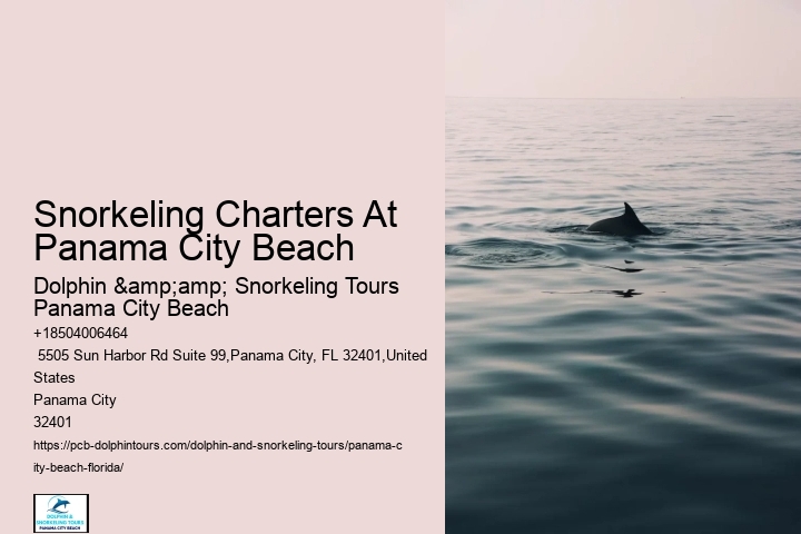 Panama City Beach Snorkel Watching Adventures