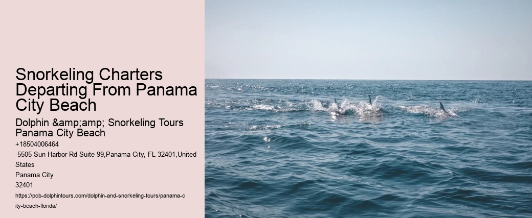 Panama City Beach Snorkeling Tours Helicopter