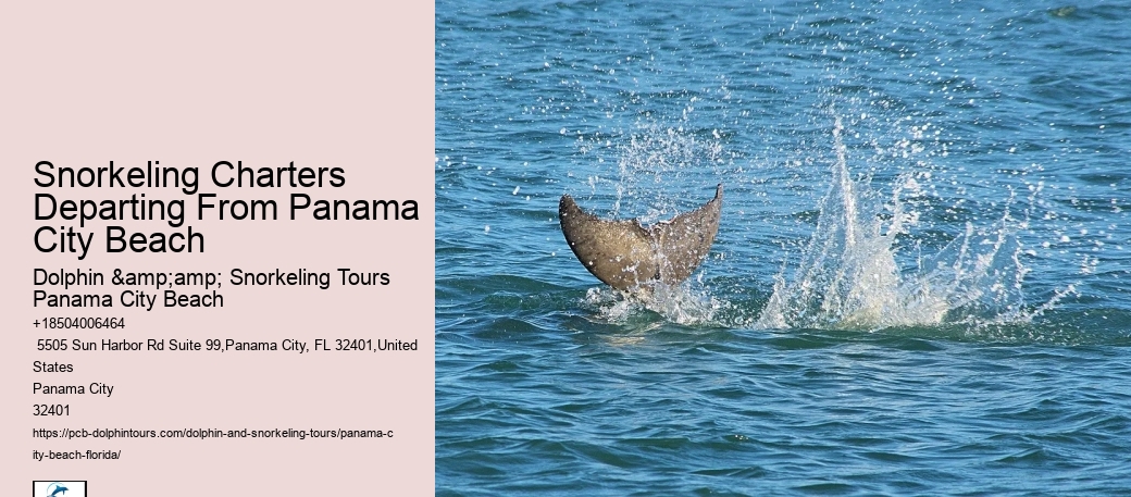Panama City Beach Snorkel Discovery Adventures
