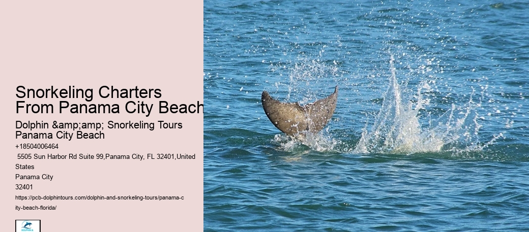 Snorkeling Experiences Departing From Panama City Beach