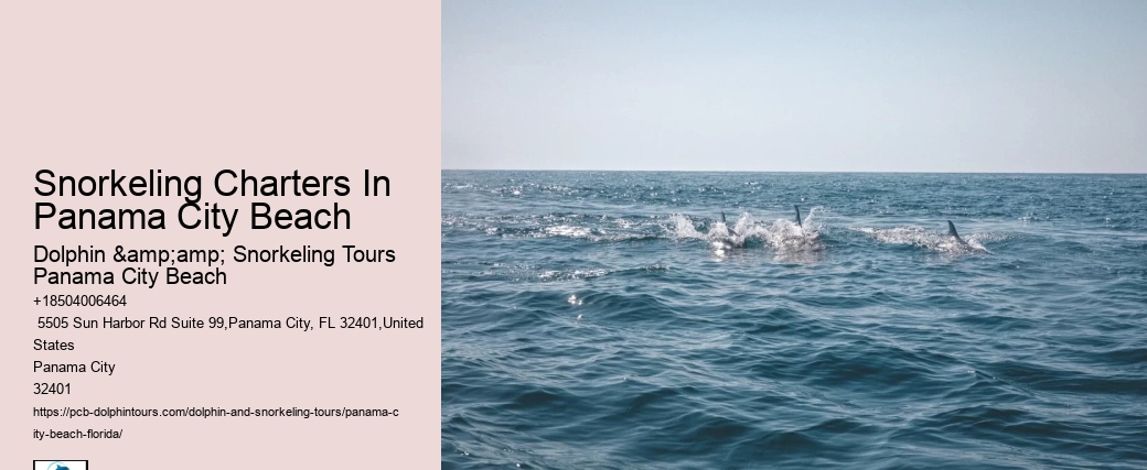 Dolphin Cruise