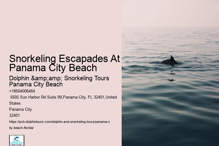 Panama City Beach Snorkeling Tours From Lahaina