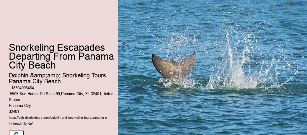 Panama City Beach Snorkeling Tours Utility