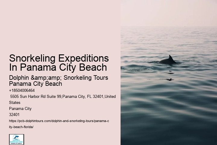 Best Places To Snorkel In Panama City Beach Beach
