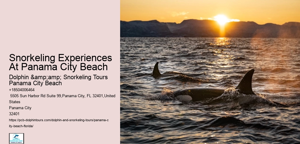 Panama City Beach Snorkeling Tours De