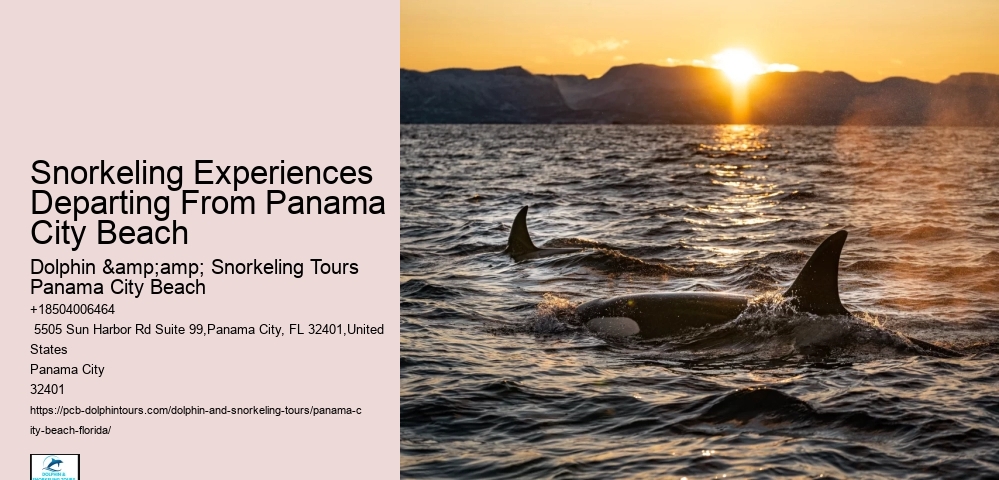 Panama City Beach Snorkel Voyage Tours