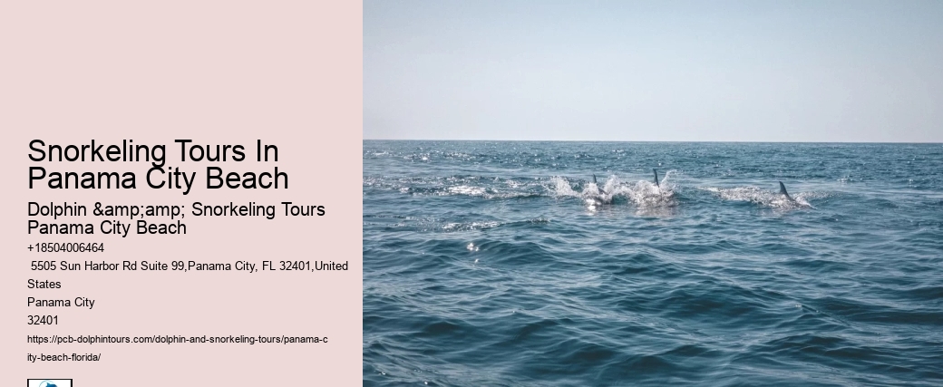 Panama City Beach Snorkeling Tours Rv