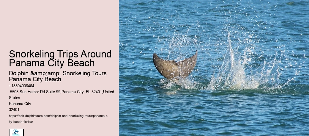 Snorkel Exploration Cruises In Panama City Beach