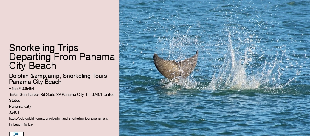 Panama City Beach Snorkel Exploration Charters