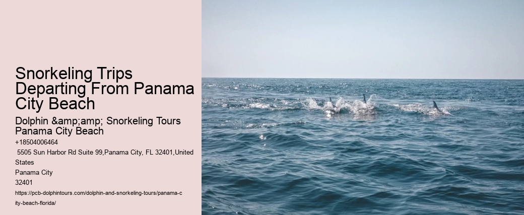 Panama City Beach Snorkeling Tours Destin Florida