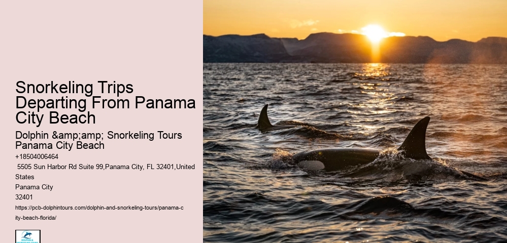 Panama City Beach Snorkeling Tours Maine